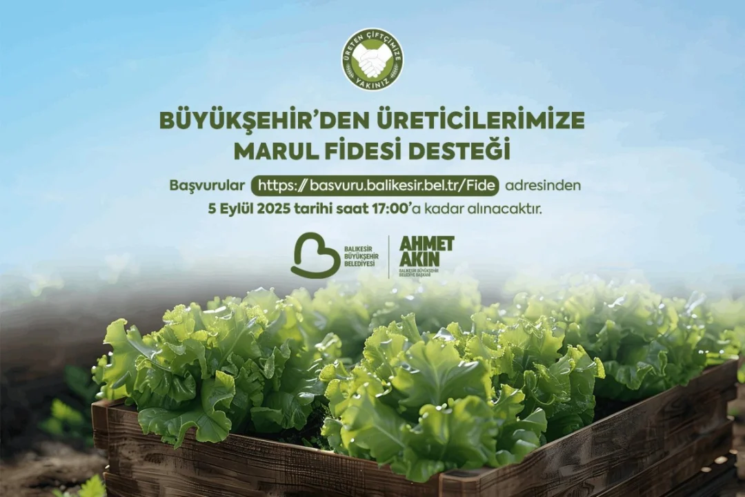 Büyükşehir Tarafından Çiftçilere Marul Fidesi Yardımı Yapıldı