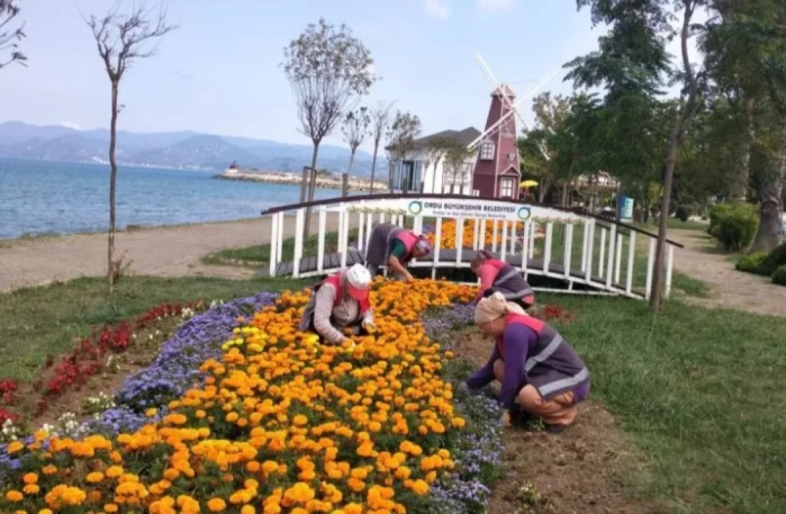 Ordu'da Şehir Estetiğine Büyükşehir'in Katkısı
