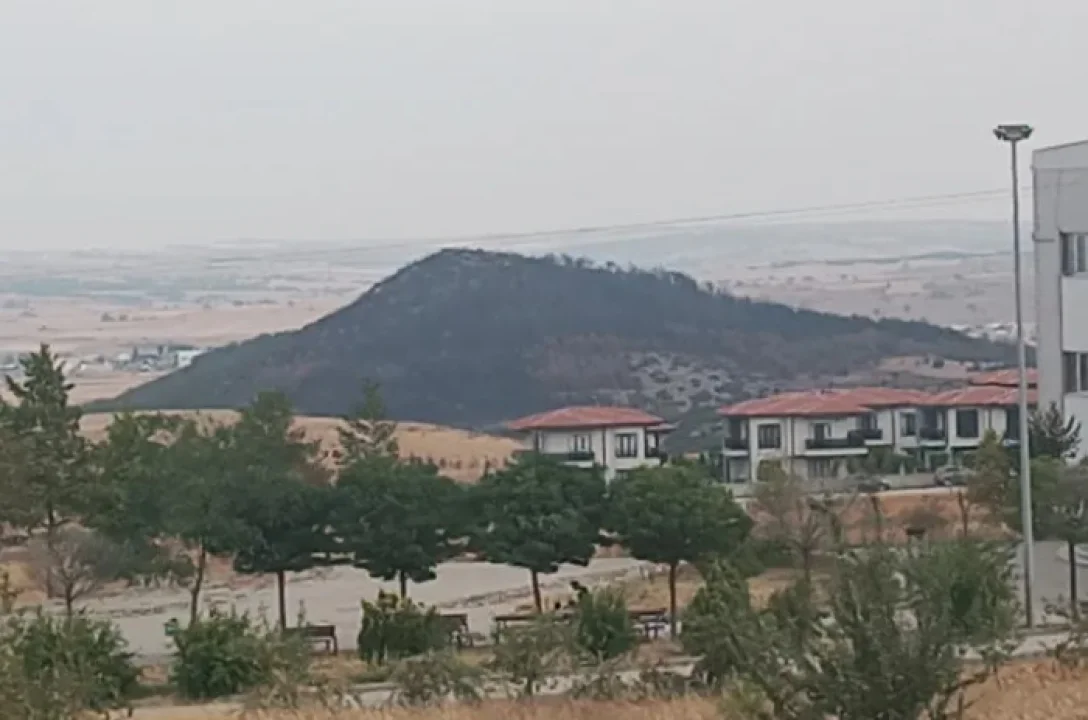Sivritepe'de Doğa Yeniden Hayat Bulacak mı?