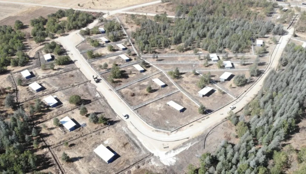 Edirne'de Sokak Hayvanlarına Yönelik Şefkatli ve Etkili Önlemler