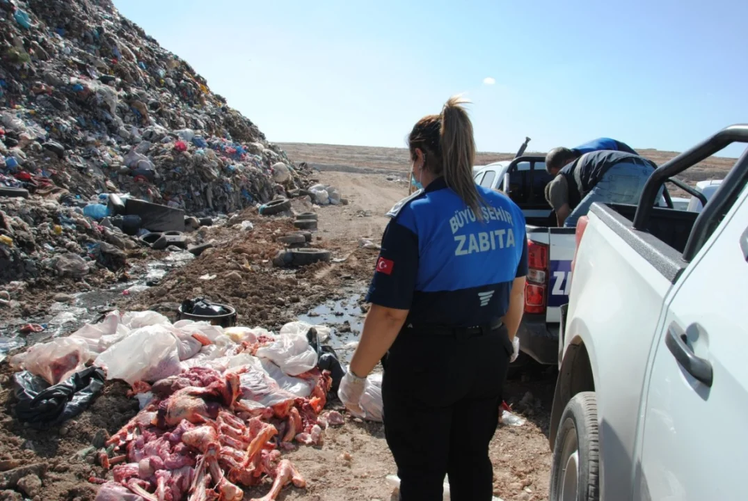 Büyükşehir Zabıta Ekipleri, Tehlikeli Gıda Ürünlerinin Tüketicilere Ulaşmasını Engelledi