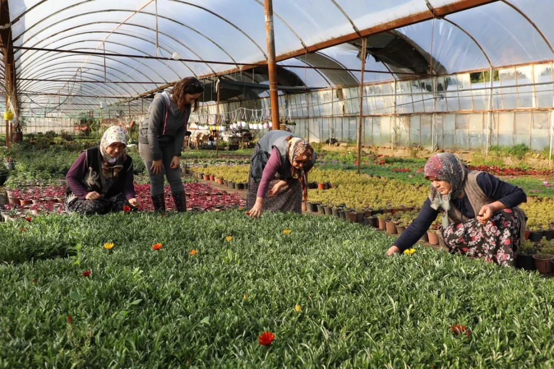 Muğla'da kadın girişimcilerle sağlam bir gelecek oluşturuluyor.