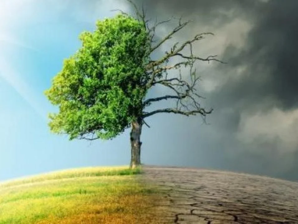 Türkiye'de İklim Değişikliğinin Göç ve Yerinde Kalma Üzerindeki Etkileri