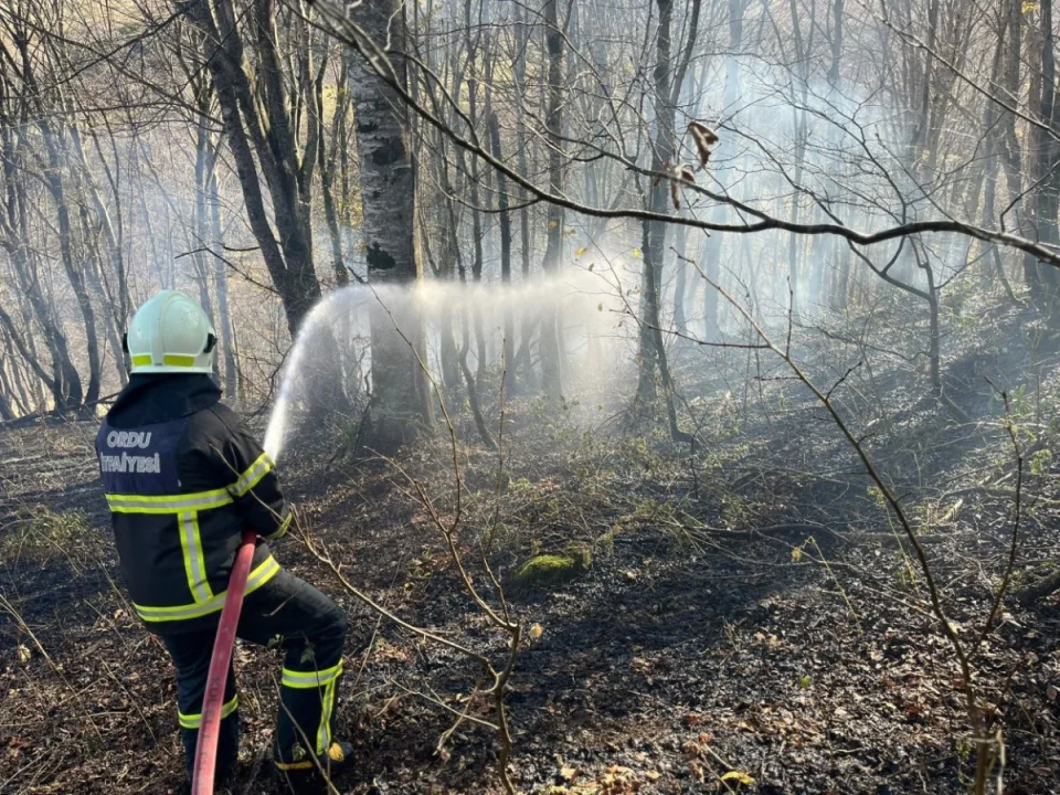 Son bir haftada Ordu'da 40 yangın çıktı.