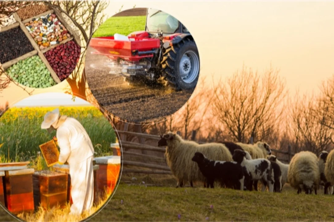 Tarımsal destek ödemeleri için 2 milyar TL hesaplara yatırıldı.