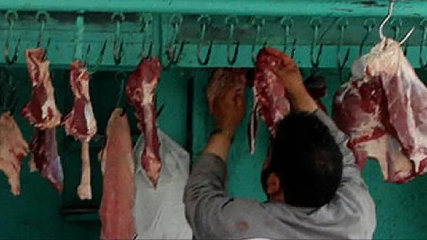 Sakarya'da Gıda Skandalı: At ve Eşek Eti Satılan İşletmelere Ceza